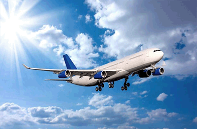 青岛货代货物运输中的程序