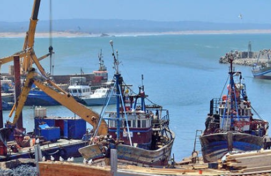 青岛货代公司带您了解船务公司的相关知识