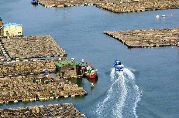 天津货代行业在发展过程中,逐渐形成了独特的服务特色和优势