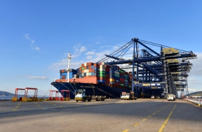 天津货代公司以优质的服务,在全球贸易舞台上绽放着光芒