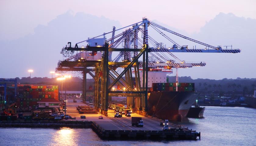 新加坡海运货代