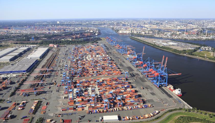 新加坡海运货代