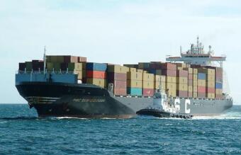 应税进口报关商品及服务税的申报单