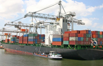 公认进口报关代理公司会采取哪些措施来确保报关服务的专业性?