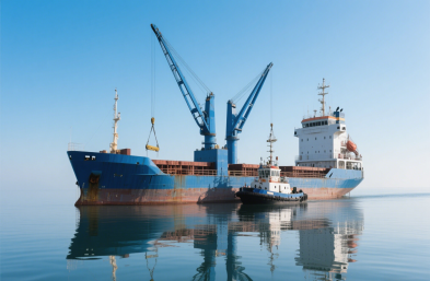 国际物流货运:农产品进口的定制化专家