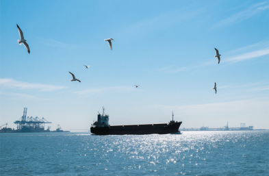 上海货运代理公司:服装进口的 “通关密钥” 与 “物流导师”