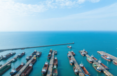 国际货物运输代理公司:咖啡进口的全程护航者