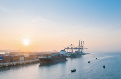 服装进口有高招,国际海运货代来助力