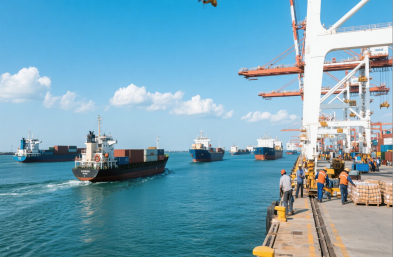 上海国际海运代理服装进口有何独特策略