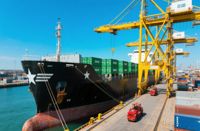 国际海运物流公司:高效运输,缩短木材出口时空距离